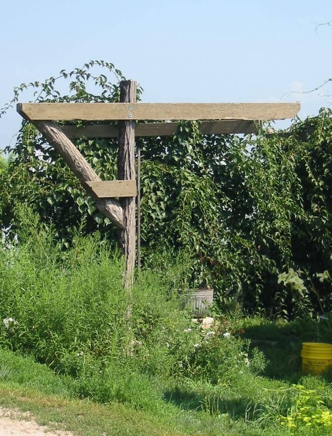 Bench - Table - Chair: Access Plans for building a grape arbor